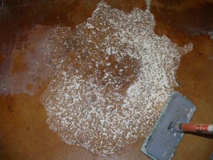 1. Egg drop soup poured on floor